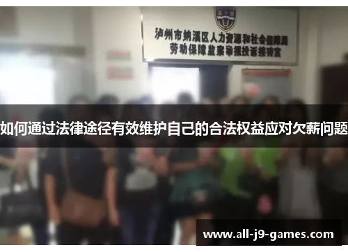 如何通过法律途径有效维护自己的合法权益应对欠薪问题