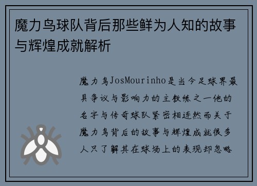 魔力鸟球队背后那些鲜为人知的故事与辉煌成就解析