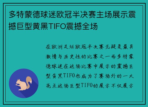多特蒙德球迷欧冠半决赛主场展示震撼巨型黄黑TIFO震撼全场